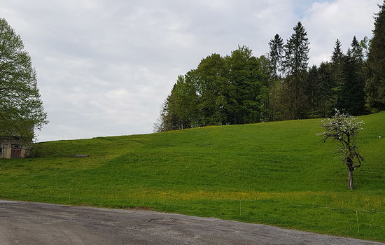 Nachdem eine Einsprache behoben und der Quartierplan «alte Linde» in angepasster Form erneut öffentlich auflag, ohne dass Einsprachen eingingen, kann er von der Standeskommission verabschiedet werden.