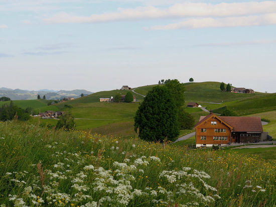 Blick Richtung Leimensteig